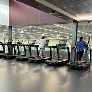 Row of treadmills at a gym